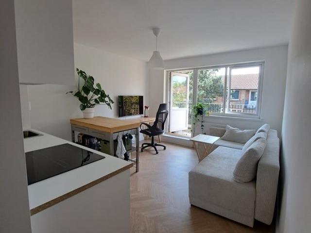 1 Bed Flat, Laburnum Close, SE15