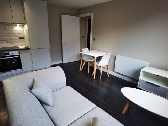 1 Bed Flat, The Fitzgerald, S3