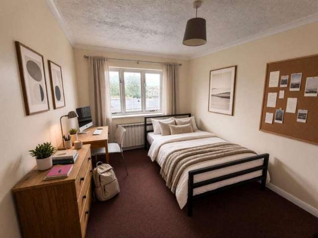 1 bed flat to rent