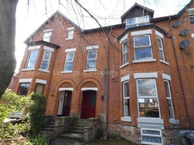 1 bed flat to rent