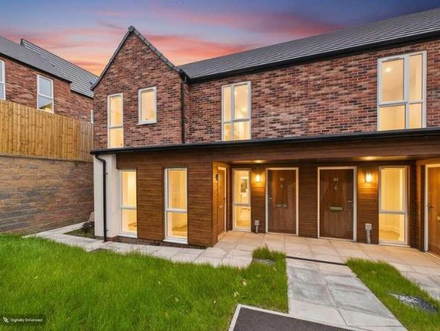 1 bed flat to rent