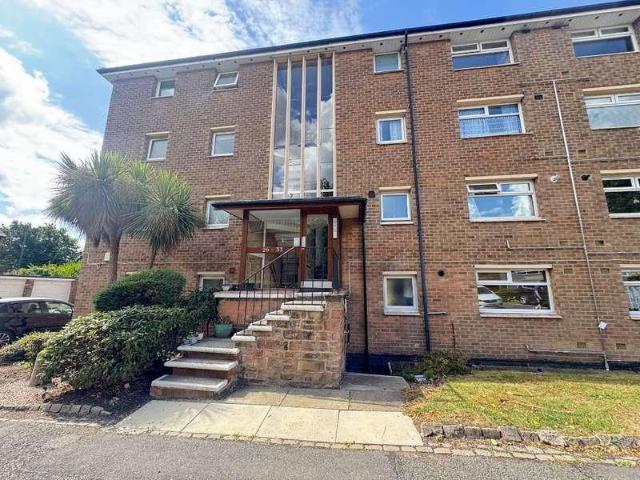1 bed flat to rent