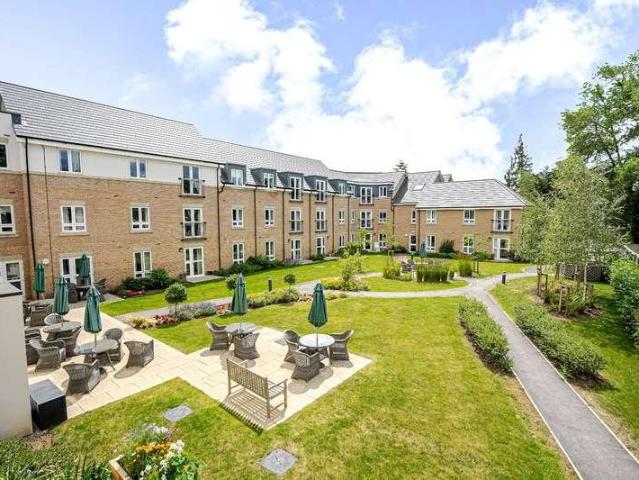 1 bed flat to rent