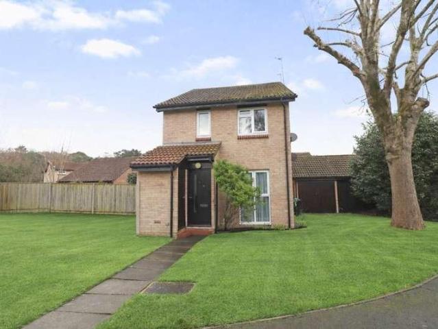 1 bed flat to rent
