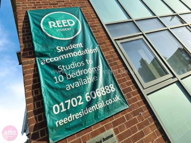 1 bed flat to rent