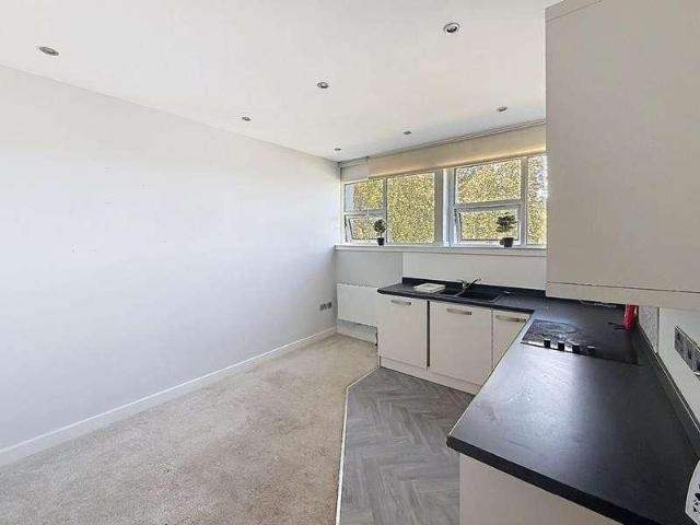 1 bed flat to rent