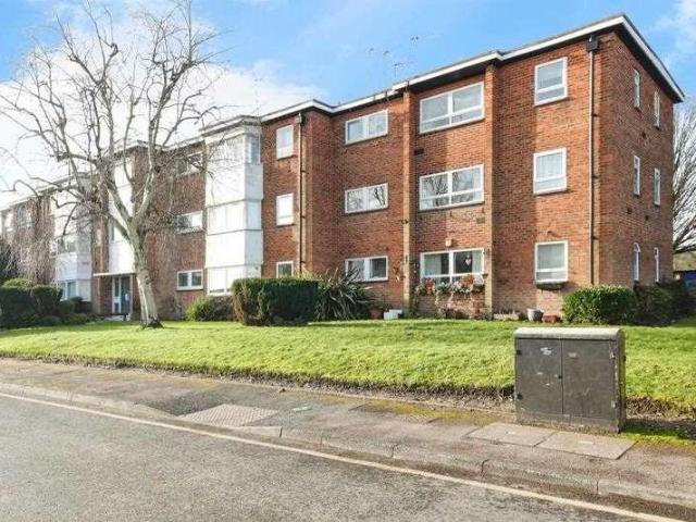 1 bed flat to rent