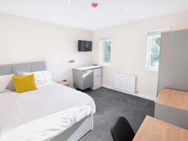 1 bed flat to rent