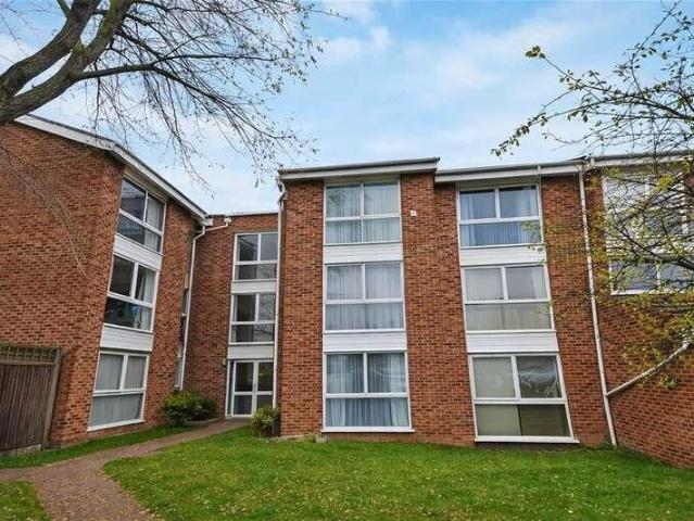 1 bed flat to rent