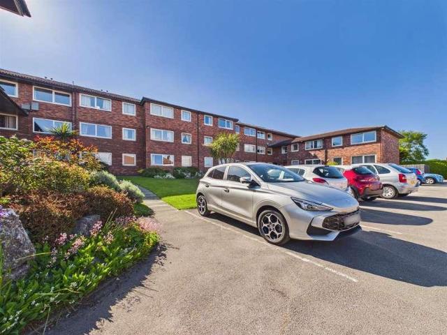 1 bed flat to rent