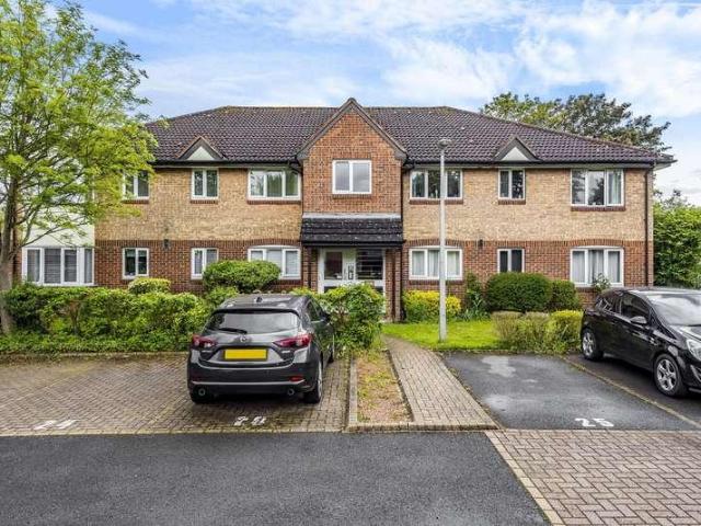 1 bed flat to rent