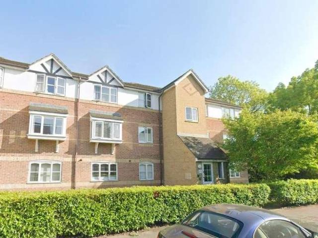 1 bed flat to rent