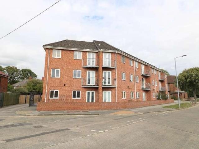 1 bed flat to rent