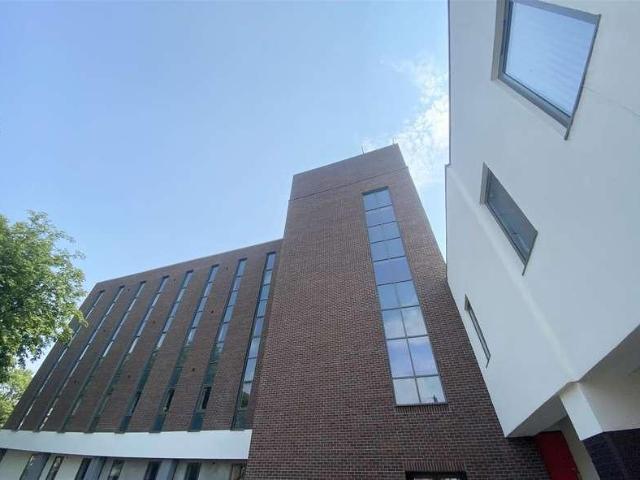 1 bed flat to rent