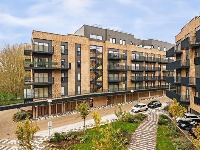 1 bed flat to rent