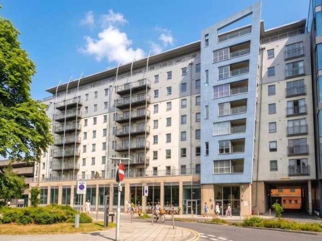 1 bed flat to rent