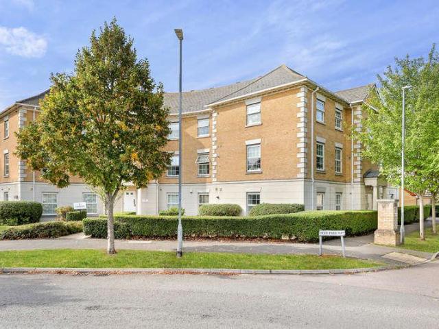 1 bed flat to rent