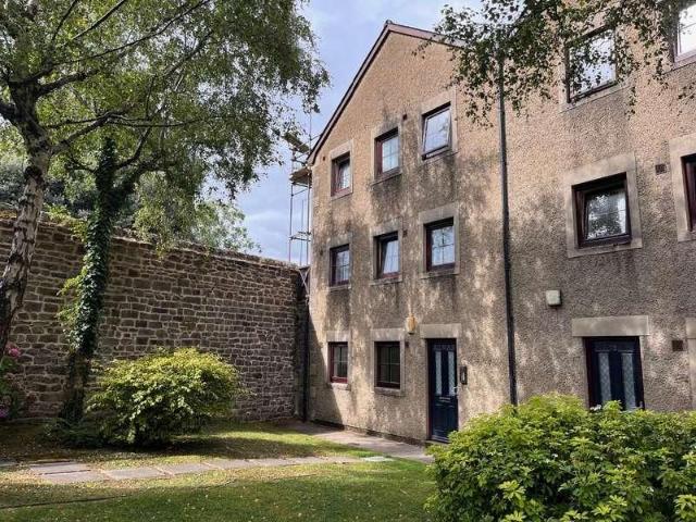 1 bed flat to rent