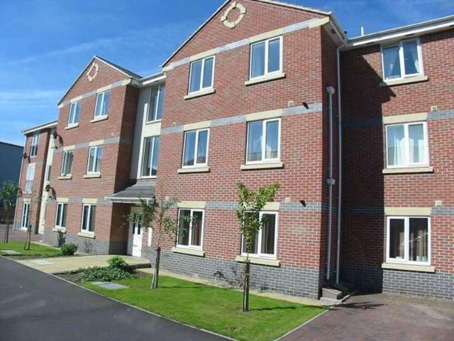1 bed flat to rent