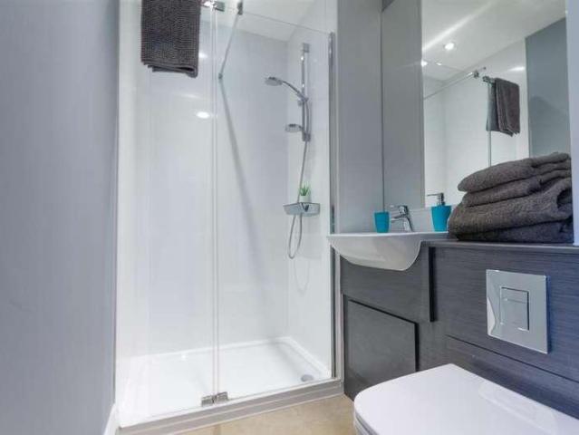 1 bed flat to rent