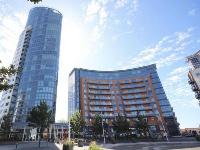 1 bed flat to rent