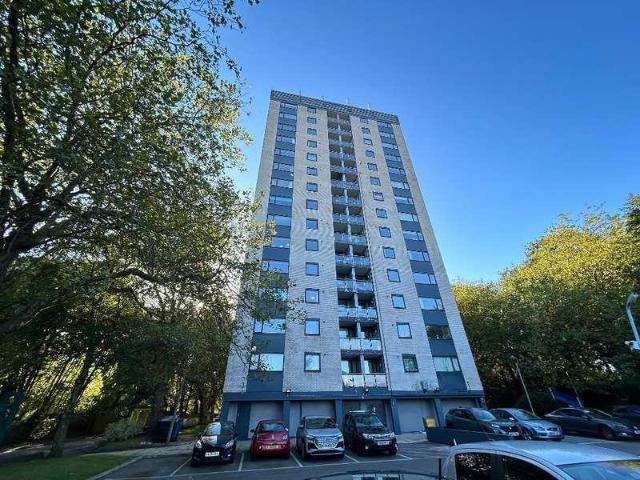 1 bed flat to rent