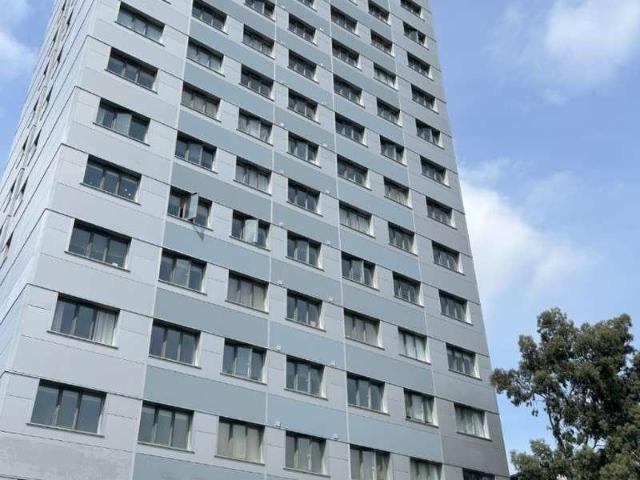 1 bed flat to rent