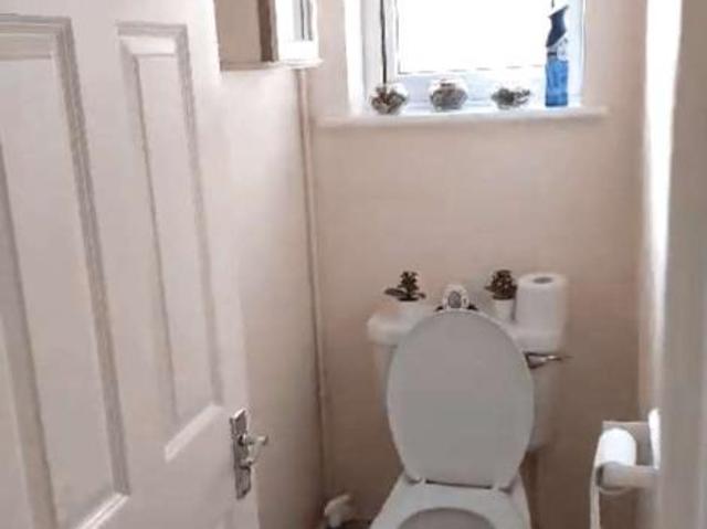1 bed flat to rent