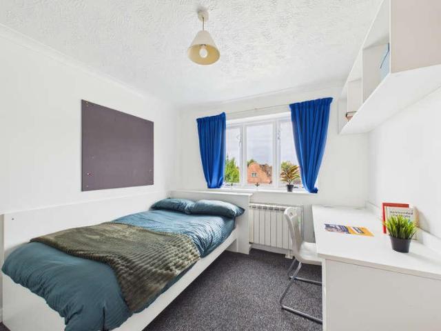 1 bed flat to rent