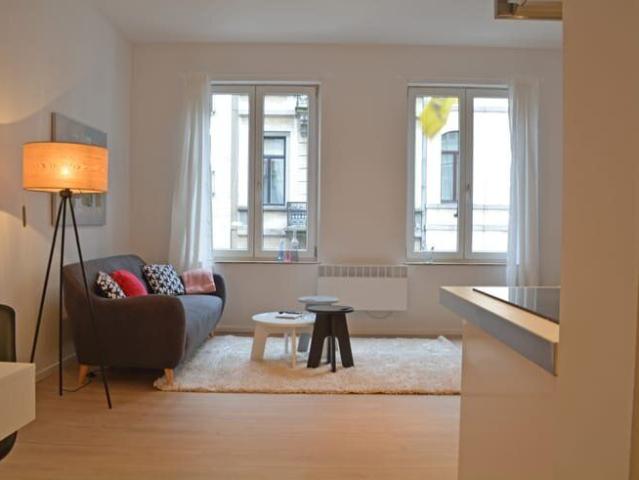 1 Bed Furnished Apt quiet & central location