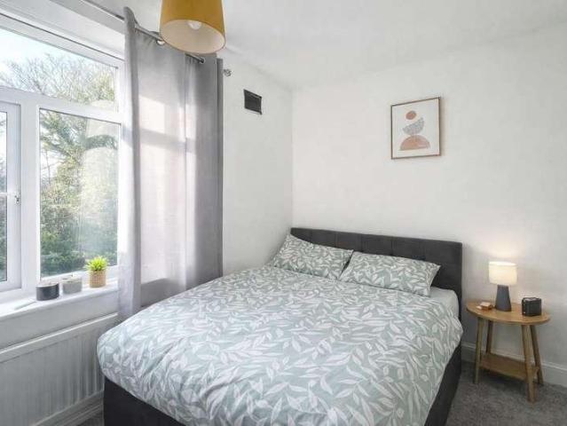 1 bed house to rent