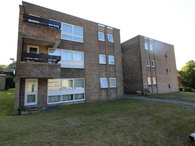 1 bed house to rent