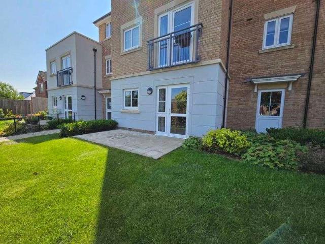 1 bed house to rent