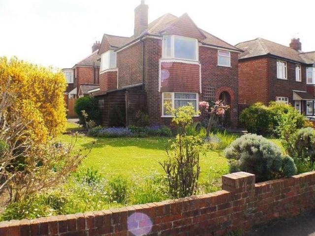 1 bed house to rent