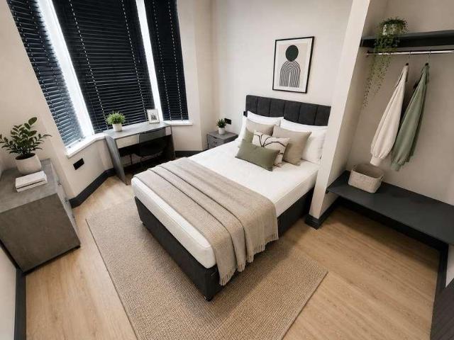 1 bed house to rent