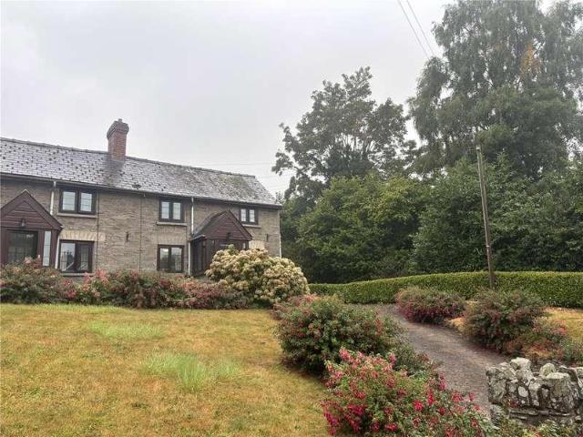 1 bed house to rent