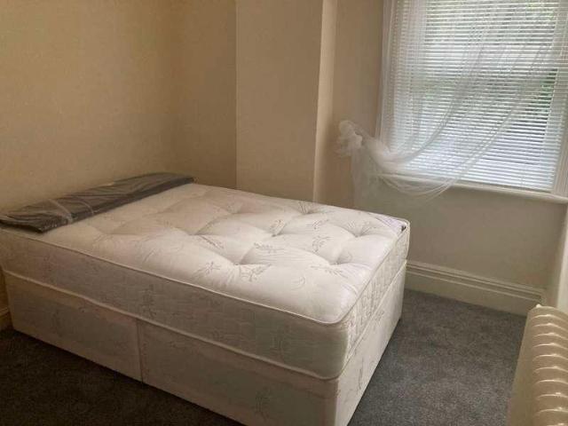 1 bed house to rent