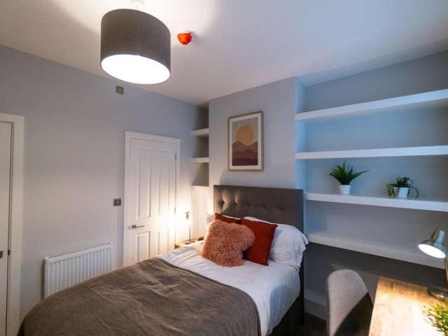 1 bed house to rent