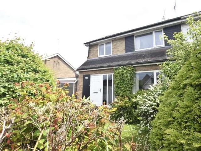 1 bed house to rent