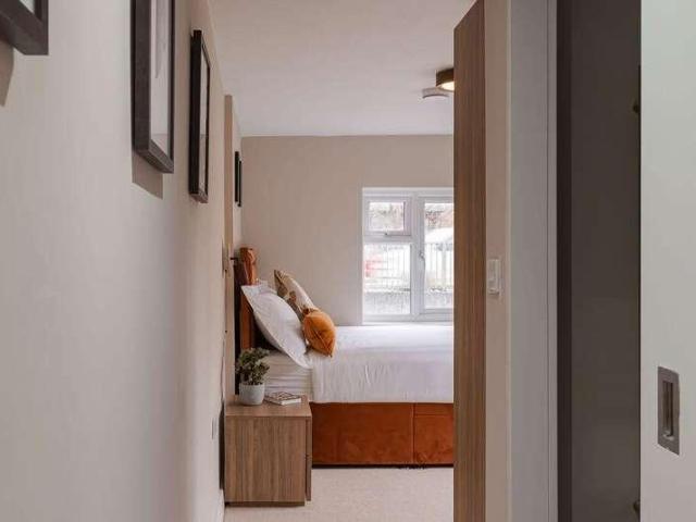 1 bed house to rent