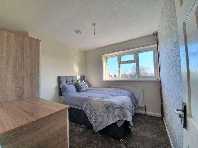 1 bed house to rent