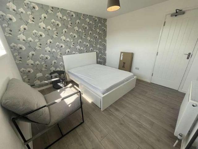 1 bed house to rent