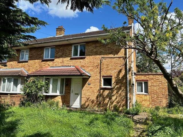 1 bed house to rent
