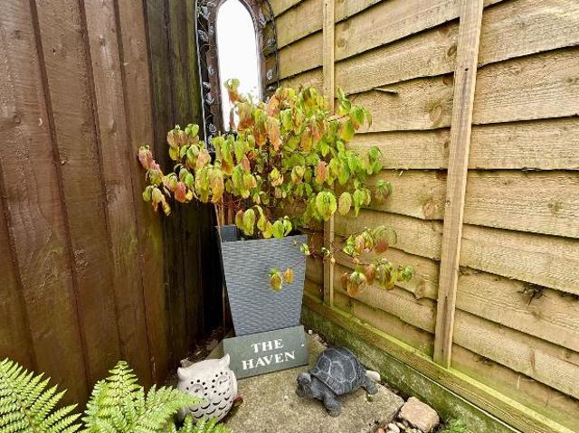 1 bed house for sale