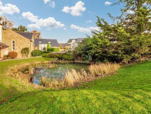 1 bed house for sale
