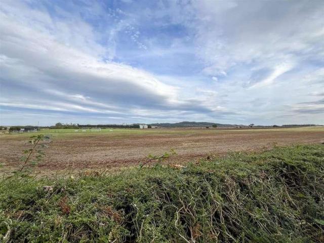 1 bed house for sale