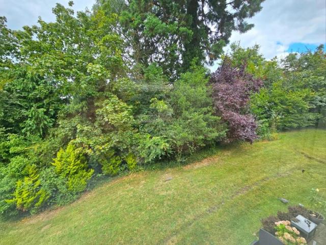 1 bed house for sale