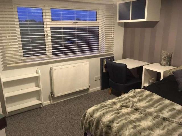 1 bed property to rent