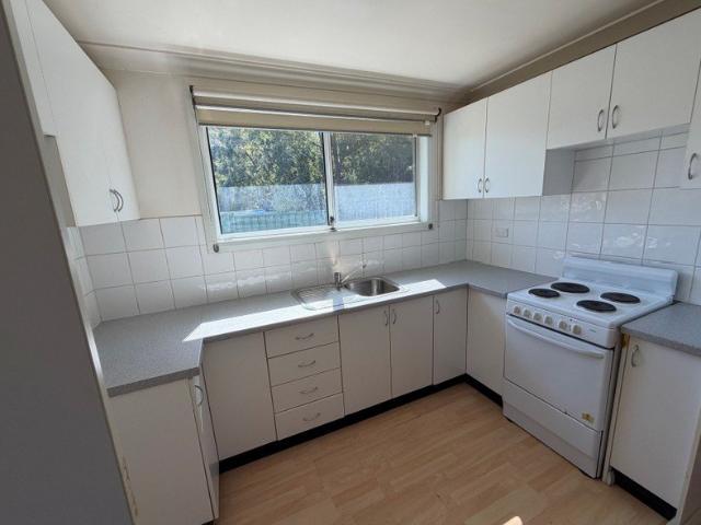 1 Bedder low maintenance