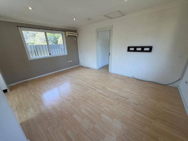 1 Bedder low maintenance